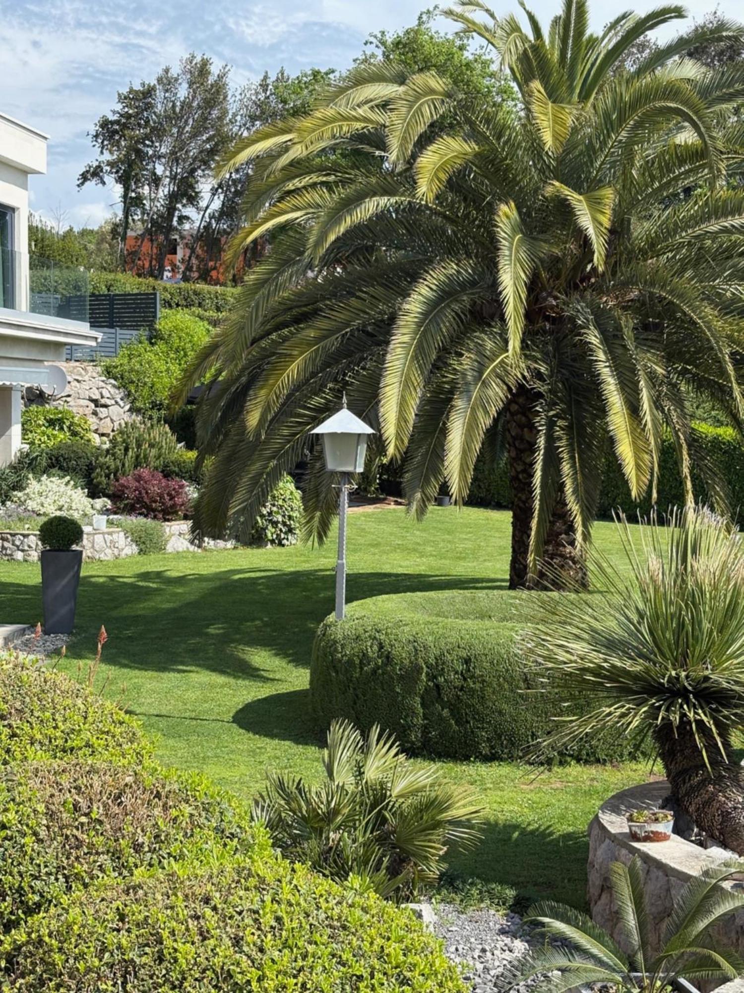 Bed And Breakfast Villa Iris Mošćenička Draga 外观 照片
