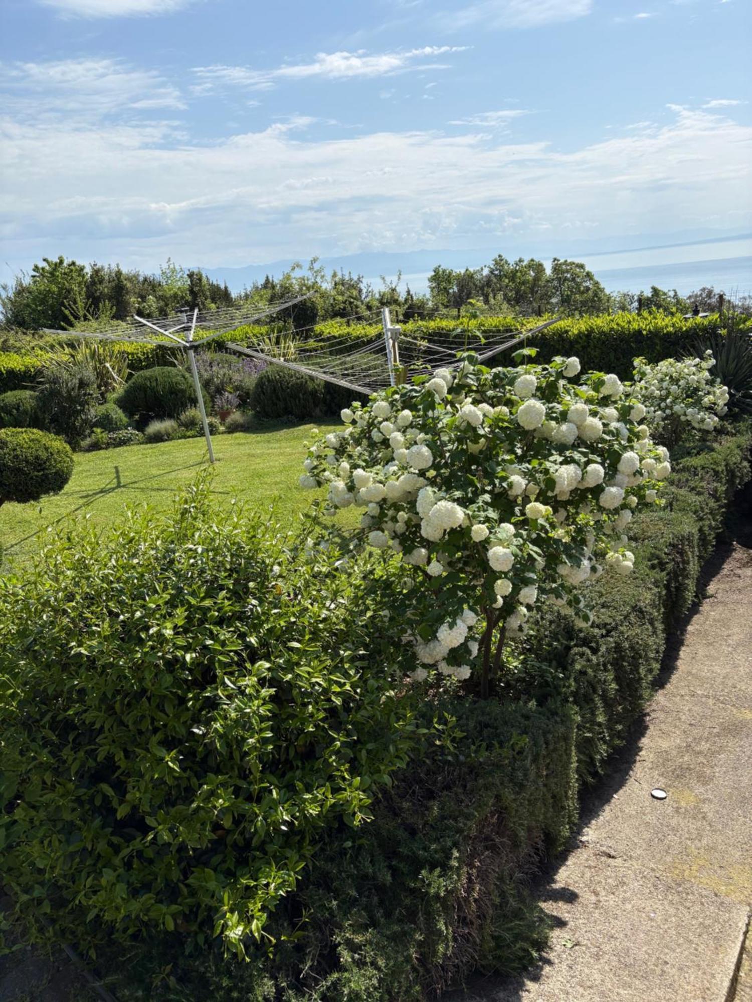 Bed And Breakfast Villa Iris Mošćenička Draga 外观 照片