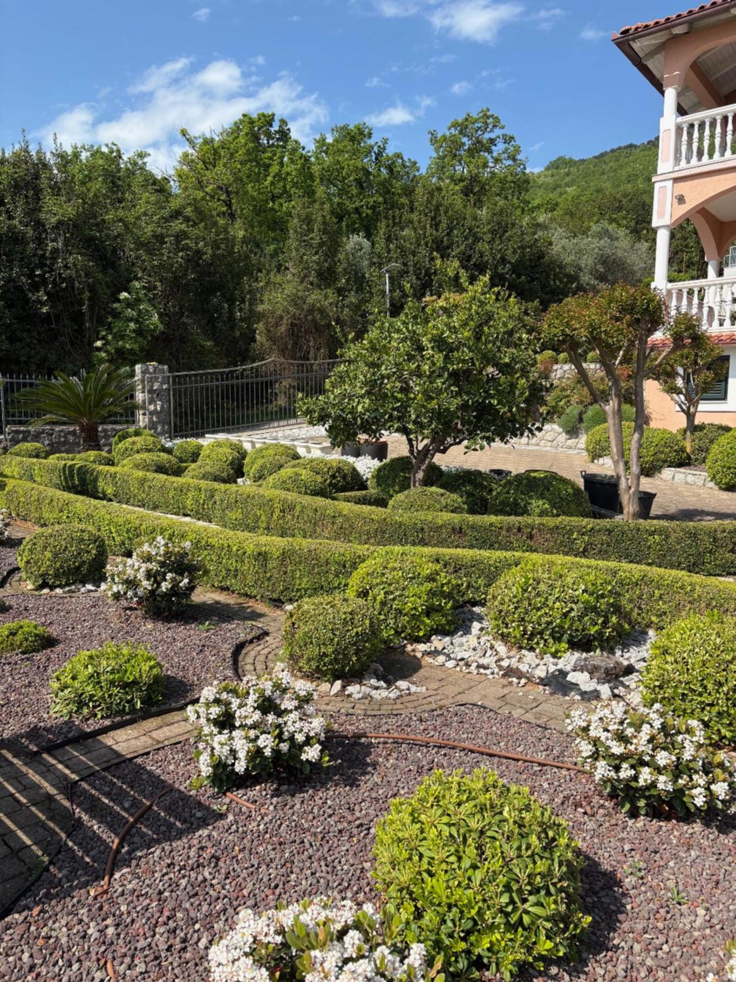 Bed And Breakfast Villa Iris Mošćenička Draga 外观 照片