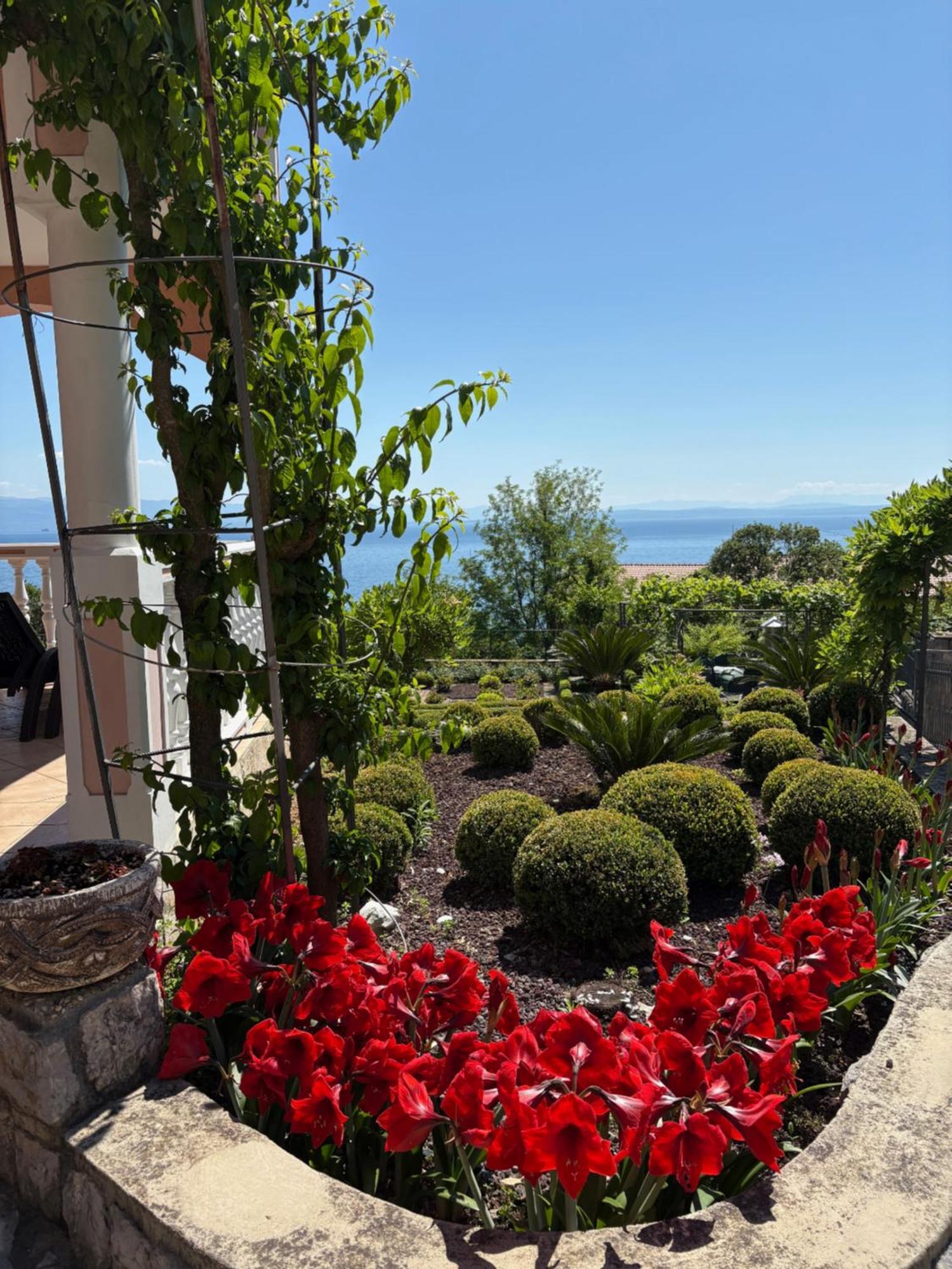 Bed And Breakfast Villa Iris Mošćenička Draga 外观 照片